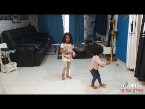 Lockdown fun by Sahana and Sayana