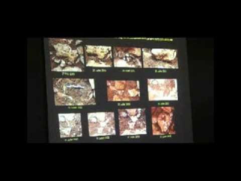 conférence de  Mr bruno Maureille anthropologue salle des fetes de marillac le franc le 28 juillet 2