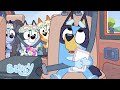 LIVE Best Road Trips And Car Moments Best Of Bobo 1 HOUR Bluey