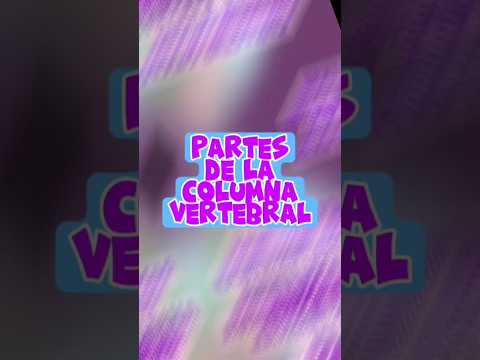 Región de la columna  vertebral
