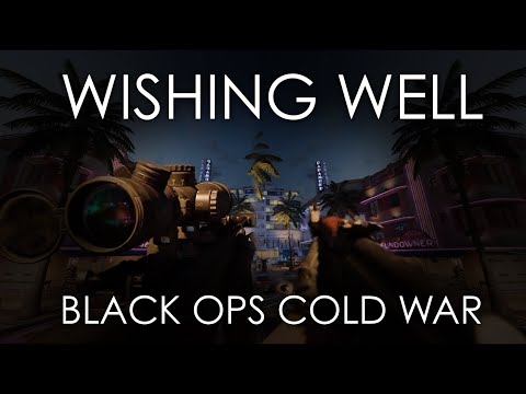 Wishing well - Black ops Cold War - Gun Sync