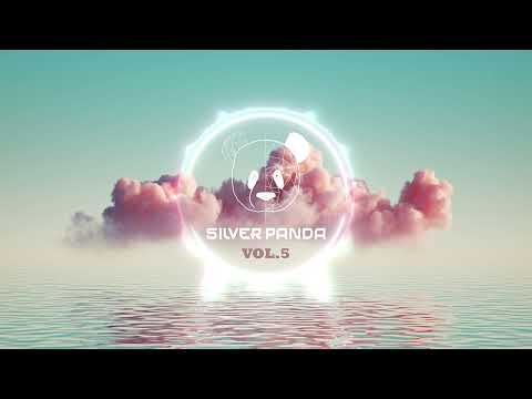 Silver Panda Melodic Sessions - Vol. 5