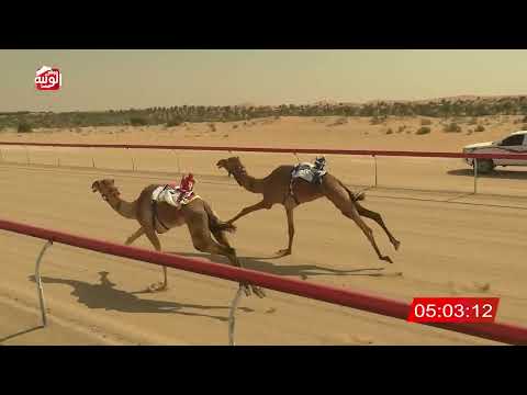 ش 1 (شواهين) لـ مسلم مبارك بن محمد العامري 7:46 , شارة الديوان 2026/3/03 ايذاع الخزنة