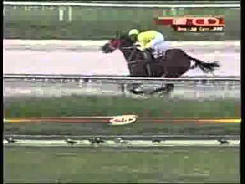 8va Carrera Valencia Jueves 24 Julio