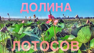 Голубицкая рыбалка казачий ерик