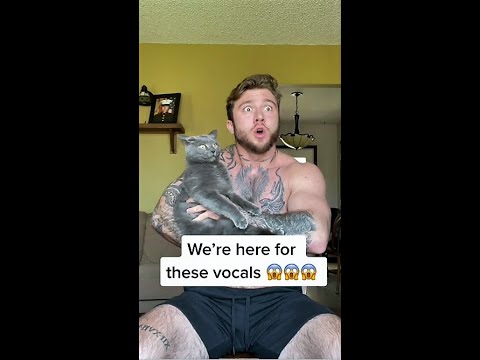 The cat's face + his vocals are everything 😻 #shorts | Cover by Garett Nolan