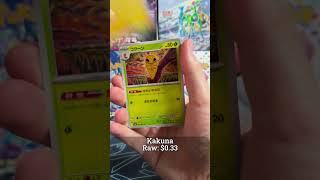 Ninja Spinner | Pack A Day 22 #pokemon #pokemontcg #pokemoncards