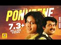 പൊന്‍ വീണേ എന്നുള്ളിന്‍ HD Malayalam Romantic Song PON VEE