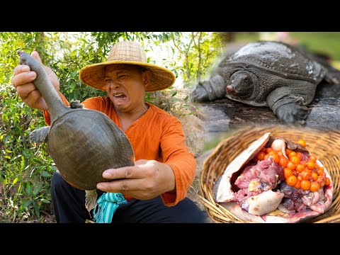 Amazing Magic Catch turtle  Cooking softshell Turtle recipes  Eating Delicious