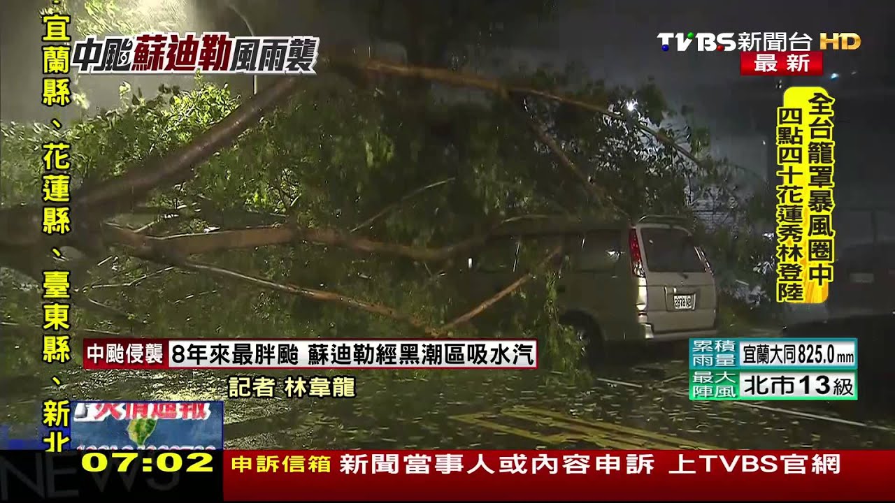 強風吹倒路樹!15公尺樹倒 砸傷騎士