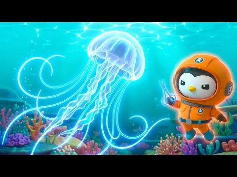 ⚓ Deadly Sea Wasp Rescue! ⚡ Venomous Tentacle Tangle | Octonauts Full Episode