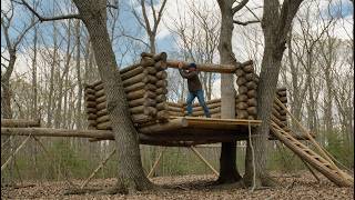 Man Built Two Incredible Elevated Shelters Between the Trees  @bushcraftua1 MQDEFAULT Thumbnail