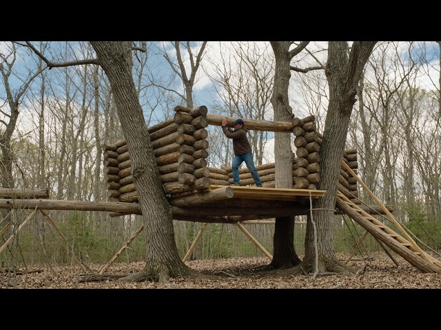 Man Built Two Incredible Elevated Shelters Between the Trees  @bushcraftua1