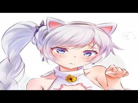 jamshyd The Robin Mains Adventure