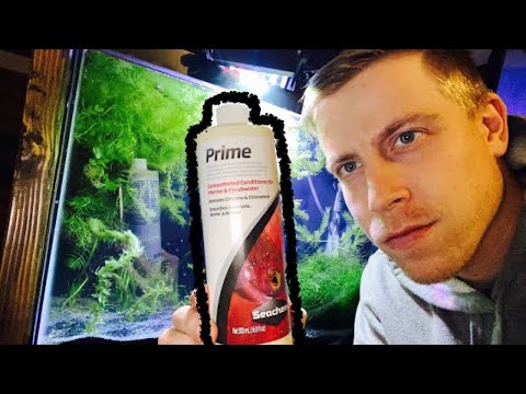 Seachem Prime - How to Use on Water Changes