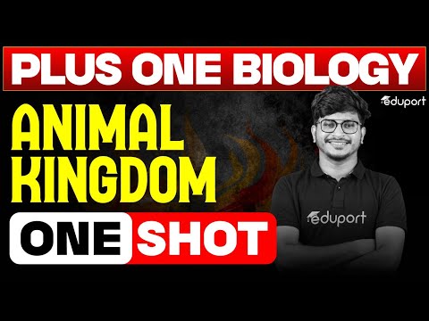 Animal Kingdom | One Shot | Plus One Biology Chapter 4 | Eduport Plus One