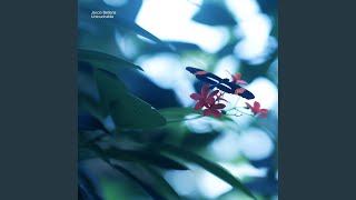 Untouchable (Instrumental)