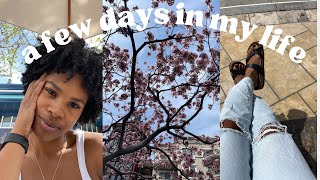 What It's Really Like Being a Full Time Creator in LA (Getting Real About Entrepreneurship) Vlog