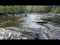 Tellico River Fly Fishing For Fall Trout