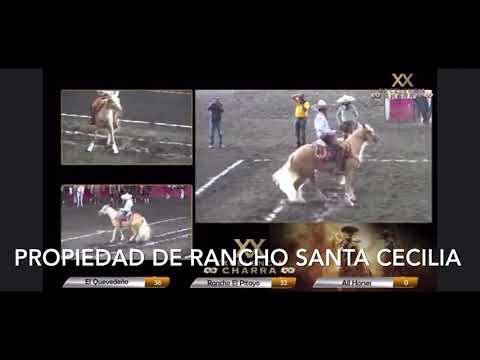 Antonio Diaz Paz y Rsc Frida en la Excelencia Charra 2021