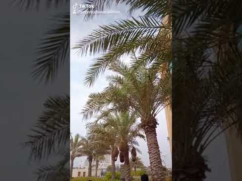 Sea veiw fairmont Hotel