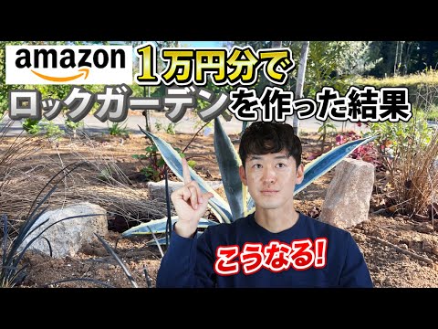 園芸 トラフのミニロックガーデン