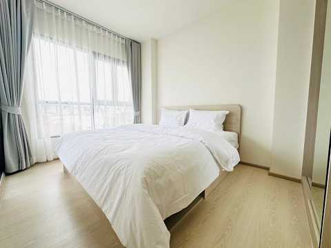 P-55307 ถ้าคุณเลี้ยงสัตว์ และหาคอนโดให้เช่า PYNN Pridi 20 1 ห้องนอน ชั้น 7 วิวเมือง Pet-Friendly ใกล้ BTS พระโขนง Line: @easythaihome 085-592-2897  – รูปที่ 2