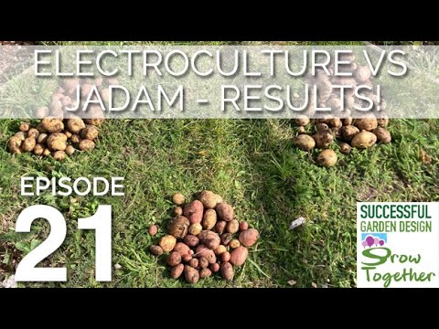 GT21 Electroculture vs Jadam RESULTS!