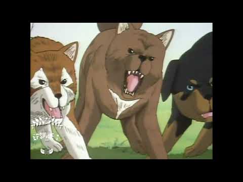 Download Bt X Neo English Dubbed Episodes 3gp Mp4 Codedwap Download Bt X Neo English Dubbed Episodes 3gp Mp4 Codedwap