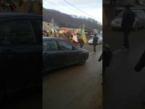 Mascati in negulesti