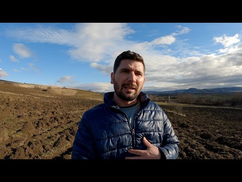 Am luat-o pe arătură după Perspectiva Profetică 2023 a fr. Lazăr Gog