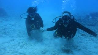 First Time Waikiki Scuba Diving