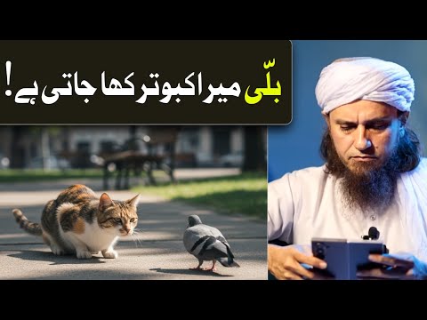 Cat Mera Kabootar Kha Jati Hai By Mufti Tariq Masood