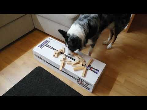 Eka "kasatunnari" Jackille