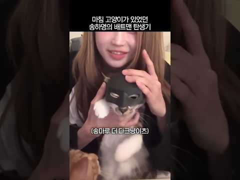 마침 고양이가 있었던 송하영의 배트맨 탄생기