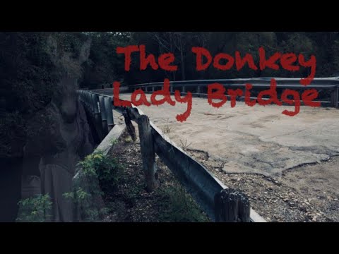 Visiting The Donkey Lady Bridge!👻