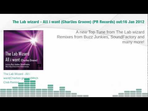 The Lab wizard - All i want (Charlies Groove)