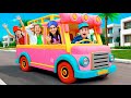 Roma And Friends Wheel House Adventures And More