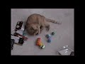 Home Movies Christmas Morning Christmas 1997