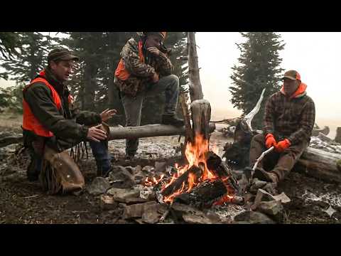 Montana Wardens: Top Wildlife Encounters & Enforcement Moments