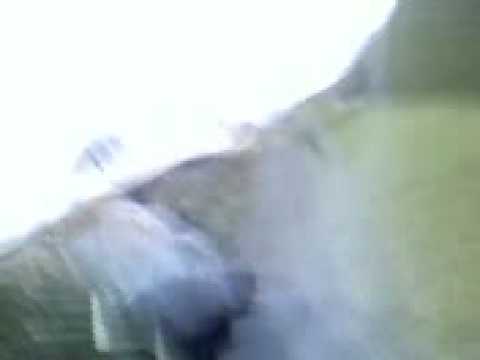 No One Was Hurt During This Video - IT IS ALL FAKE NT REAL!!!!!!!!!