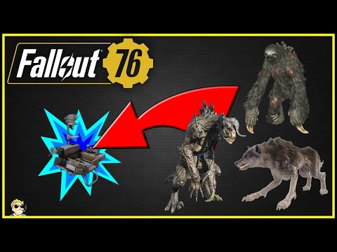 How To Have Pets At Your Camp - Fallout 76