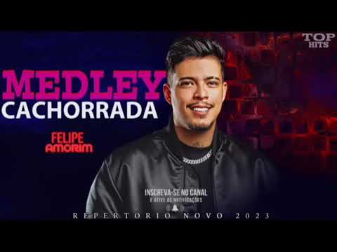 FELIPE AMORIM - MEDLEY CACHORRADA - MÚSICAS NOVAS - MEDLEY NOVO