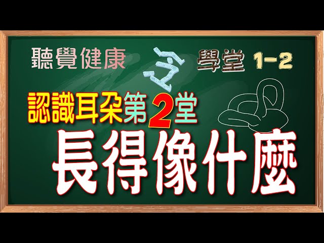 【聽覺健康冷學堂】《認識耳朵》第2堂：長得像什麼