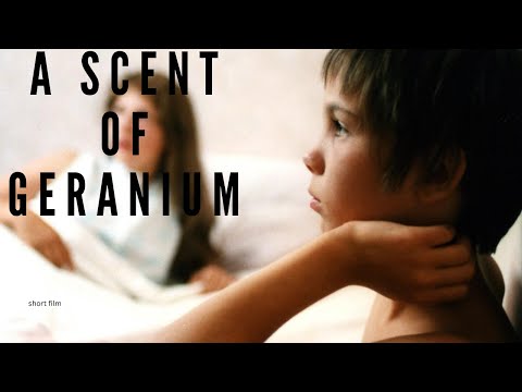 Short film : A Scent of Geranium