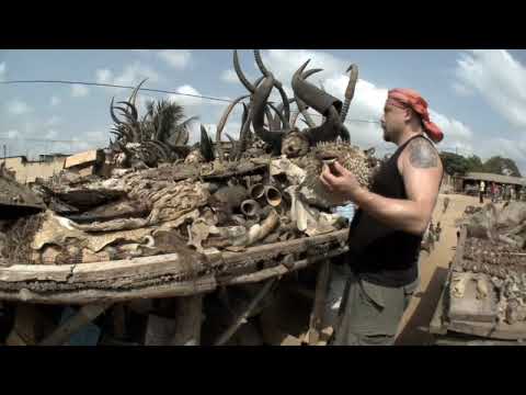 Madventures West Africa  - Voodoo Fetish Market
