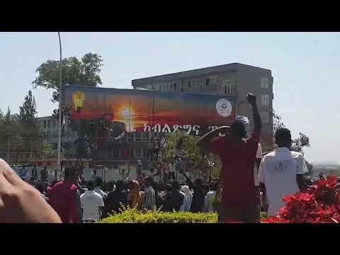 Dhaadannoo Hiriira Baardaar irratti Oromoon maal jedhe?