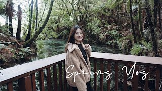 Rotorua Hamurana Springs | New Zealand | 新西兰居然有收门票的景点？？