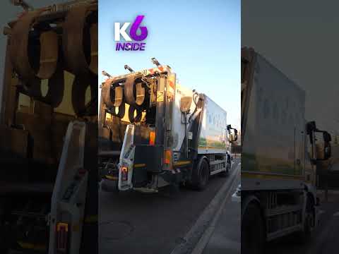 Ou Vont Nos Sapins Après Les Fêtes ?