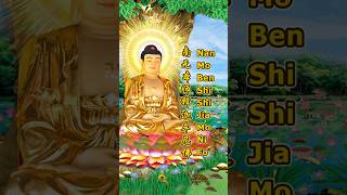 Download lagu NAN MO BEN SHI SHI JIA MO NI FO - 南无本师释迦牟尼佛 – BUDDHA SONG VIDEO mp3